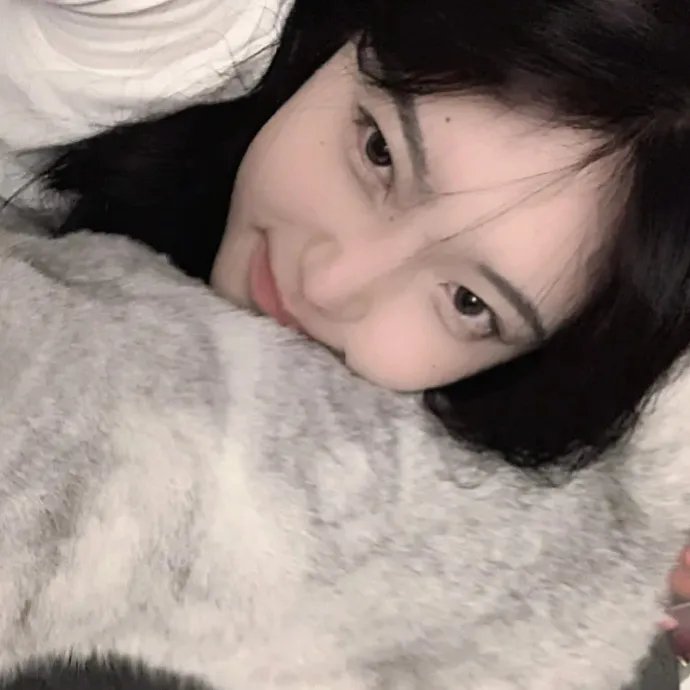 小刺猬与魔法石